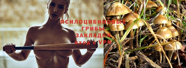 спайс Абаза