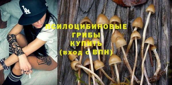 стаф Медногорск