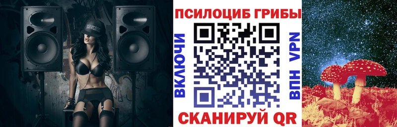 Галлюциногенные грибы Psilocybe  кракен вход  Электросталь 
